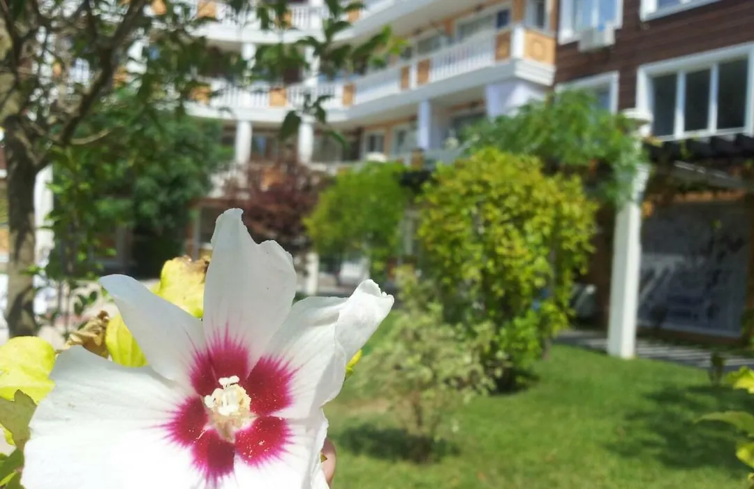 Villa Aria Complex-1